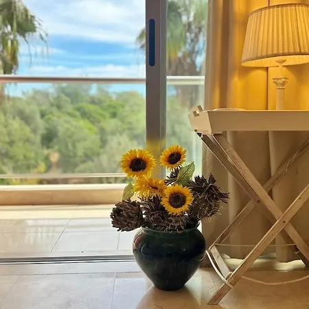 Sweet Portas Da Rocha 1-bedroom Apartment